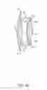 Fig. 59 - Single-piece accommodating intraocular lens system
