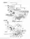 Fig. 06 - Postprocessing apparatus and image forming system