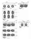 Fig. 03 - Trial bidirectional wheels, tires and vehicles