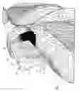 Fig. 04 - Safety air bag
