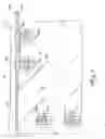 Fig. 03 - Windshield installation device and method of use