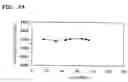 Fig. 30 - Surface acoustic wave device