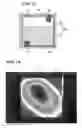 Fig. 10 - Piezoelectric electroacoustic transducer