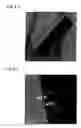 Fig. 04 - Fluorescent substance