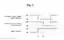 Fig. 08 - System for safely opening/closing power window of vehicle