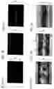 Fig. 07 - Continuous observation apparatus and method of magnetic flux distribution