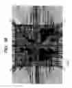 Fig. 28 - Fabrication method of semiconductor integrated circuit device and probe card