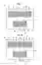 Fig. 02 - Surface acoustic wave filter