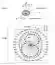 Fig. 07 - RFID tag