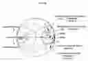 Fig. 20 - RFID tag