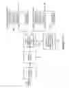 Fig. 30 - Data compression system and methods