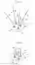Fig. 02 - DIRECTION FINDER ANTENNA