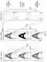Fig. 04 - LIQUID CRYSTAL DISPLAY AND METHOD FOR DRIVING SAME