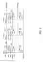 Fig. 03 - Integrated light sensitive liquid crystal display
