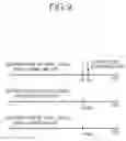 Fig. 10 - Method and apparatus for fabricating flat panel display