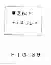 Fig. 33 - Display device