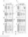 Fig. 04 - Print control program product