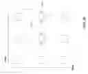 Fig. 21 - Method and system for processing multiview videos for view synthesis using skip and direct modes