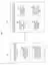 Fig. 08 - Composite image selectivity