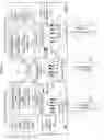 Fig. 40 - Composite image selectivity