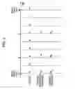 Fig. 04 - Image pickup and reproducing apparatus