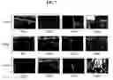 Fig. 08 - Method, medium, and system generating video abstract information