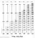 Fig. 27 - Light pipe configuration