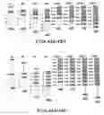 Fig. 37 - Light pipe configuration