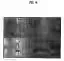 Fig. 15 - Transreflection-type liquid crystal display device and method of fabricating the same