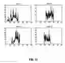 Fig. 12 - System and method for robust optic disk detection in retinal images using vessel structure and radon transform