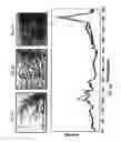 Fig. 03 - Spectral imaging of biofilms