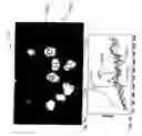 Fig. 08 - Spectral imaging of biofilms