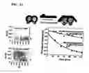 Fig. 13 - Modulated excitation fluorescence analysis