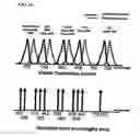 Fig. 17 - Modulated excitation fluorescence analysis