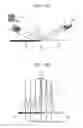 Fig. 16 - Method for optically detecting height of a specimen and charged particle beam apparatus using the same