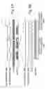 Fig. 06 - Image processing system for reading and processing images
