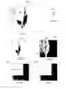 Fig. 10 - System and method for searching digital images