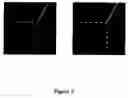 Fig. 04 - Viewing angle enhancement for holographic displays