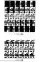 Fig. 38 - Structure of three-dimensional image data, method of recording three-dimensional image data, and method of displaying and reproducing three-dimensional image data