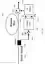 Fig. 22 - Fast Dynamic Gain Control in a Bidirectionally-Pumped Raman Fiber Amplifier
