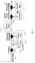 Fig. 25 - Fast Dynamic Gain Control in a Bidirectionally-Pumped Raman Fiber Amplifier