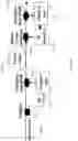 Fig. 26 - Fast dynamic gain control in a bidirectionally-pumped Raman fiber amplifier