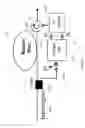 Fig. 22 - Fast dynamic gain control in cascaded Raman fiber amplifiers