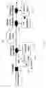 Fig. 25 - Fast dynamic gain control in cascaded Raman fiber amplifiers