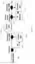 Fig. 26 - Fast dynamic gain control in cascaded Raman fiber amplifiers