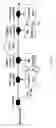 Fig. 28 - Fast dynamic gain control in cascaded Raman fiber amplifiers