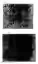 Fig. 03 - Monolithic ceramic electronic component and method for manufacturing the same