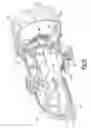 Fig. 06 - Flashlight