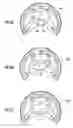 Fig. 10 - Light line generating assembly