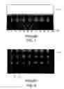Fig. 02 - Light guide panel